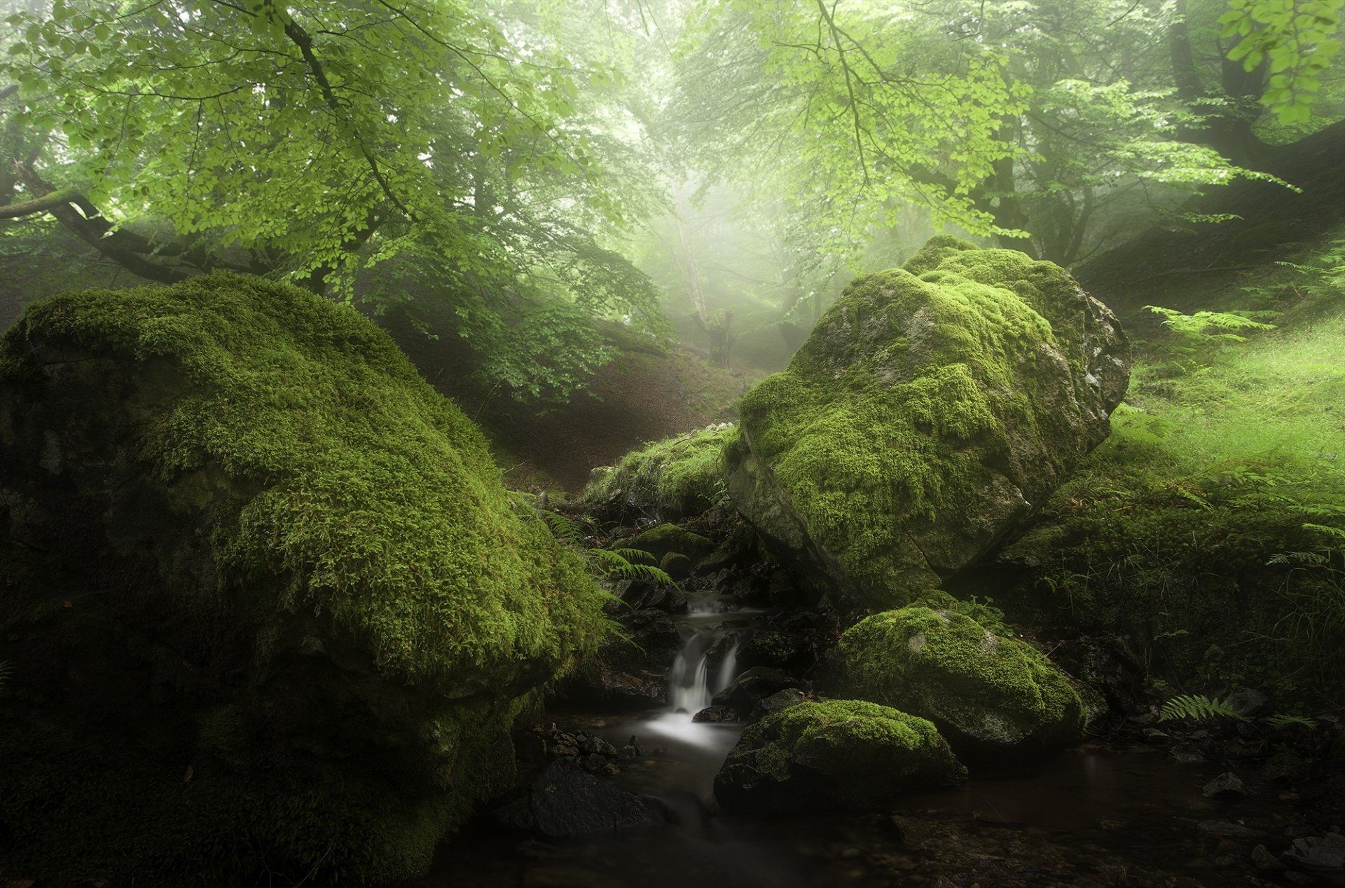 1920x1267 Mystic Mossy Stream in Fog