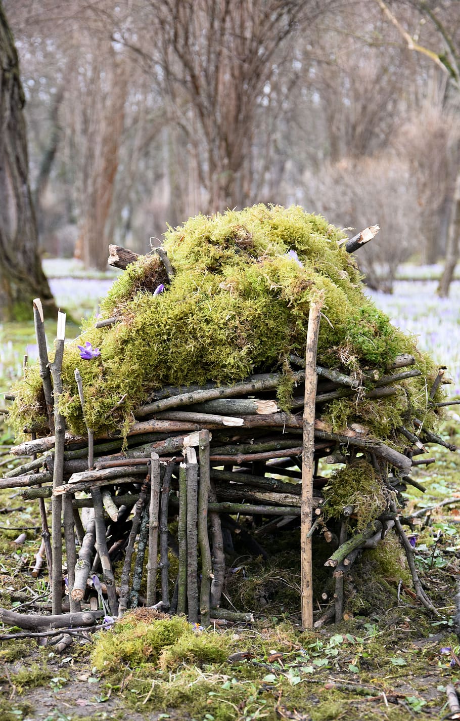 910x1425 1920x1080px. free download. HD wallpaper: Sticks, Moss, Nature, Handmade, Build, establish, aesthetic