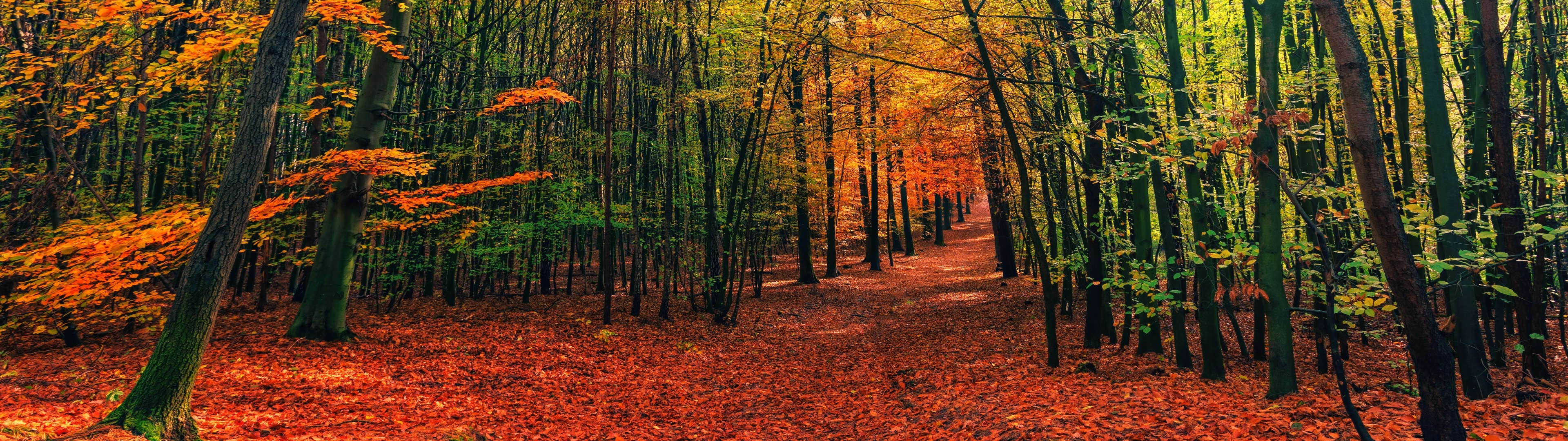 3840x1080 Fall Dual Monitor Wallpaper