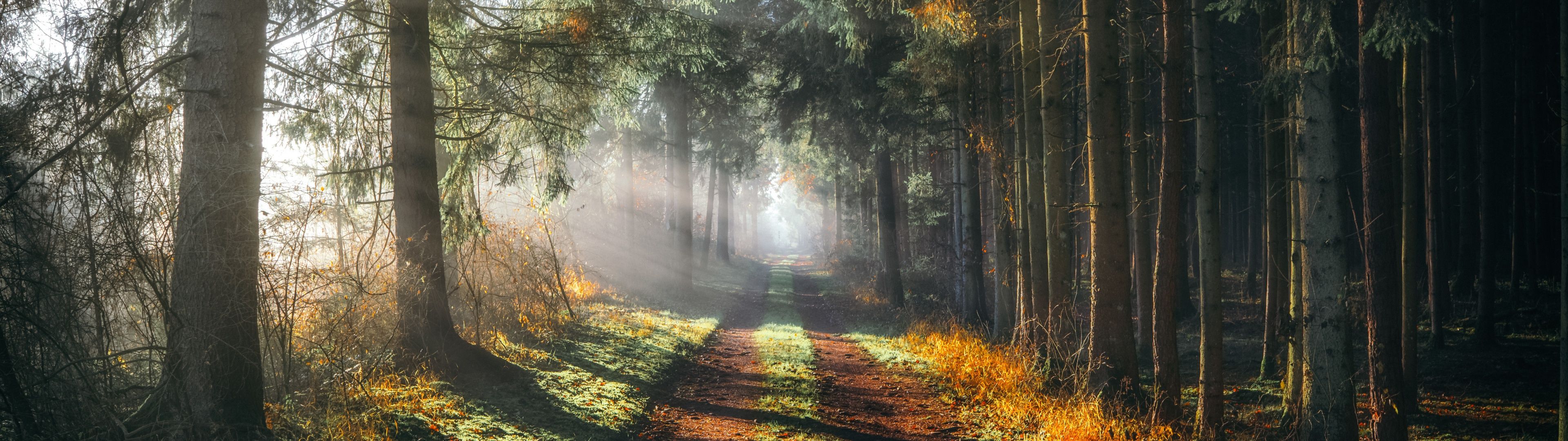 3840x1080 Dual Monitor HD Wallpaperx1080 Wallpaper