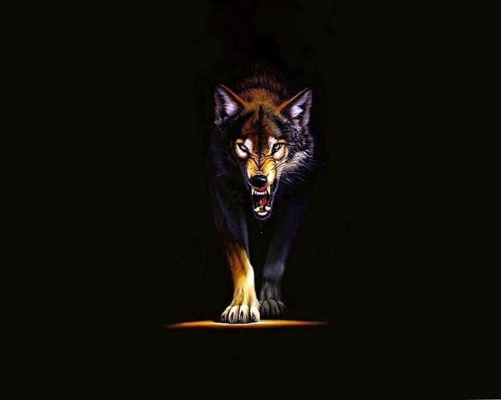 1008x806 Angry Wolf Wallpaper 4K IPhone Wallpaper.pro