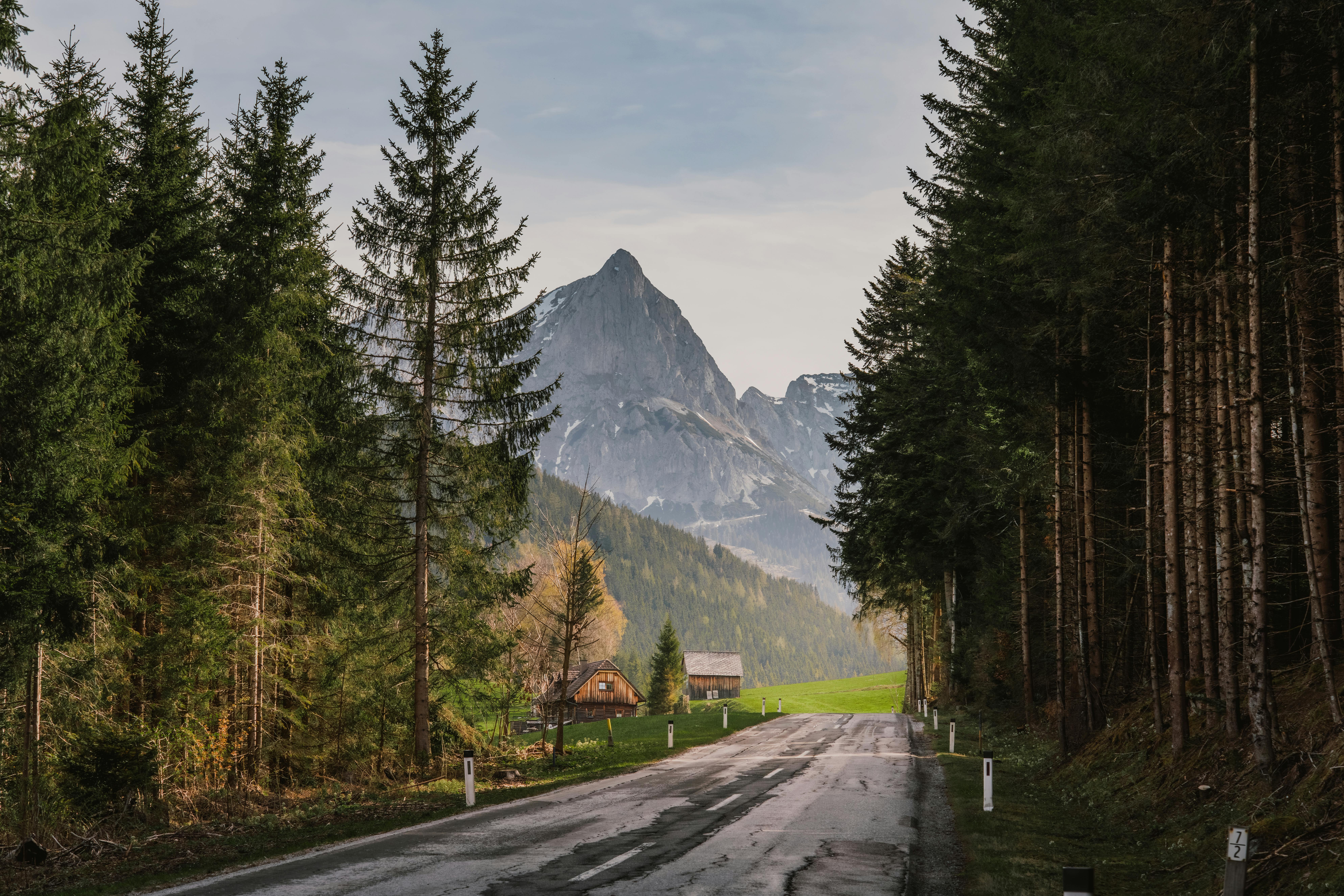 7952x5304 Scenic Mountain Road Through Alpine Forest · Free