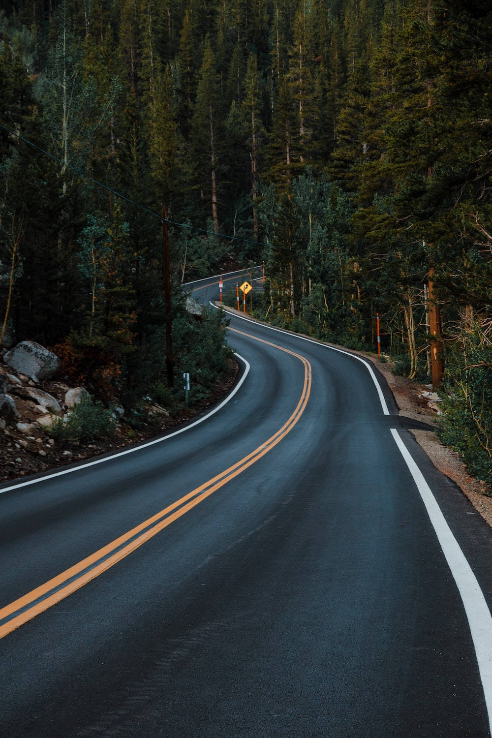 1000x1500 Download Aesthetic Forest Road Best HD Wallpaper