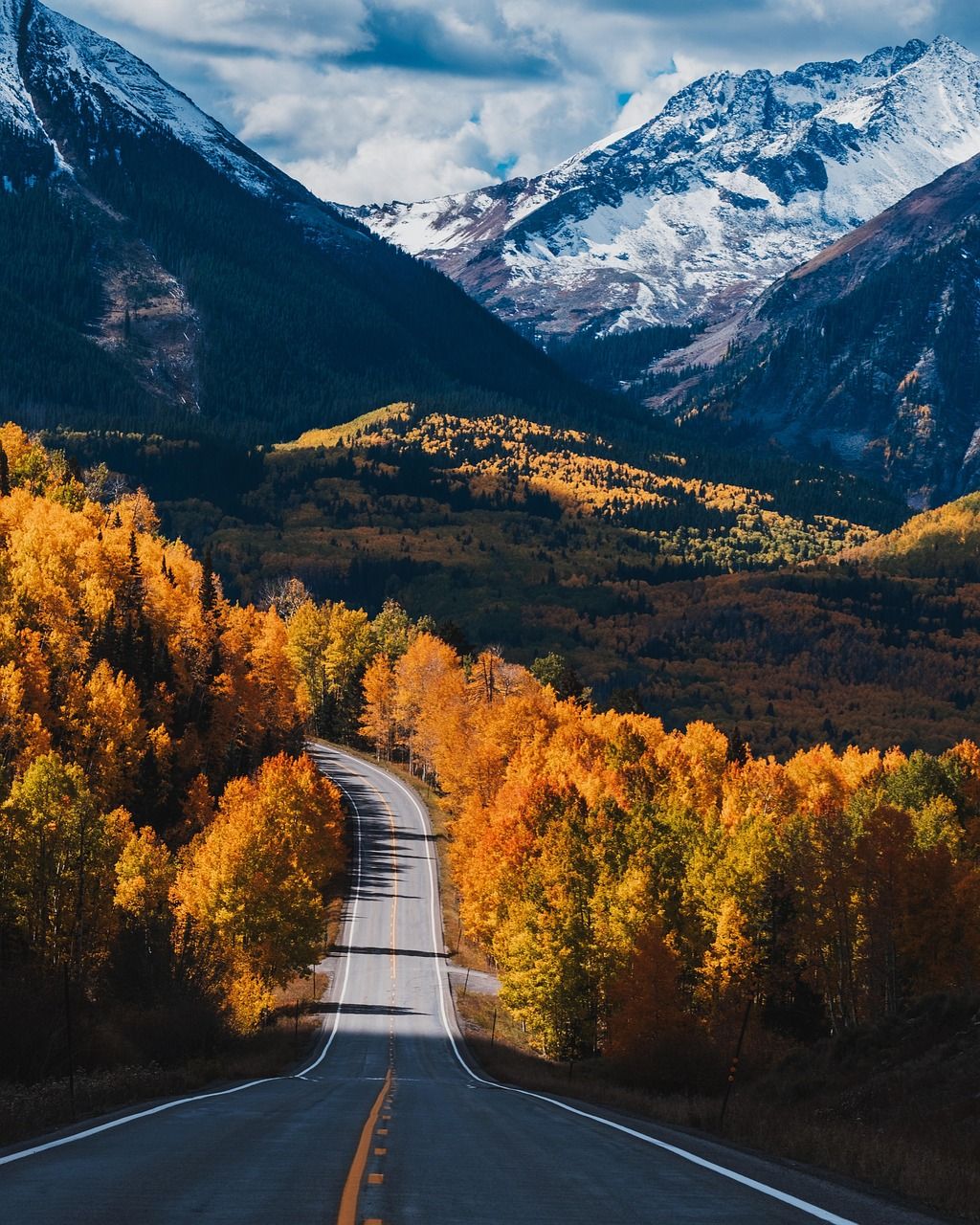 1024x1280 Free Forest Road & Road Image