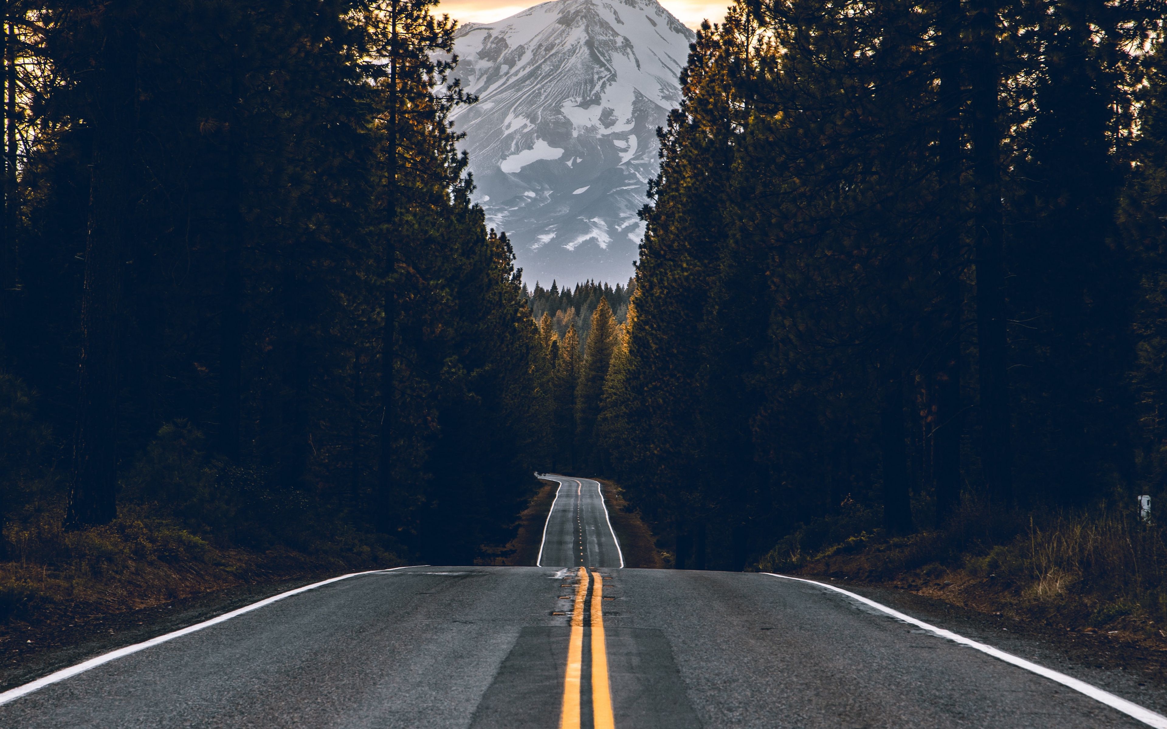3840x2400 Wallpaper forest, road, sky, trees, nature, yellow, sunset, glow for mobile and desktop, section пейзажи, resolution 3840x2400