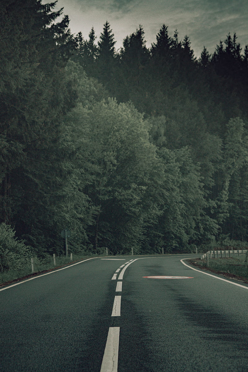 800x1200 Roads, forest, rain, road, usa, HD phone wallpaper