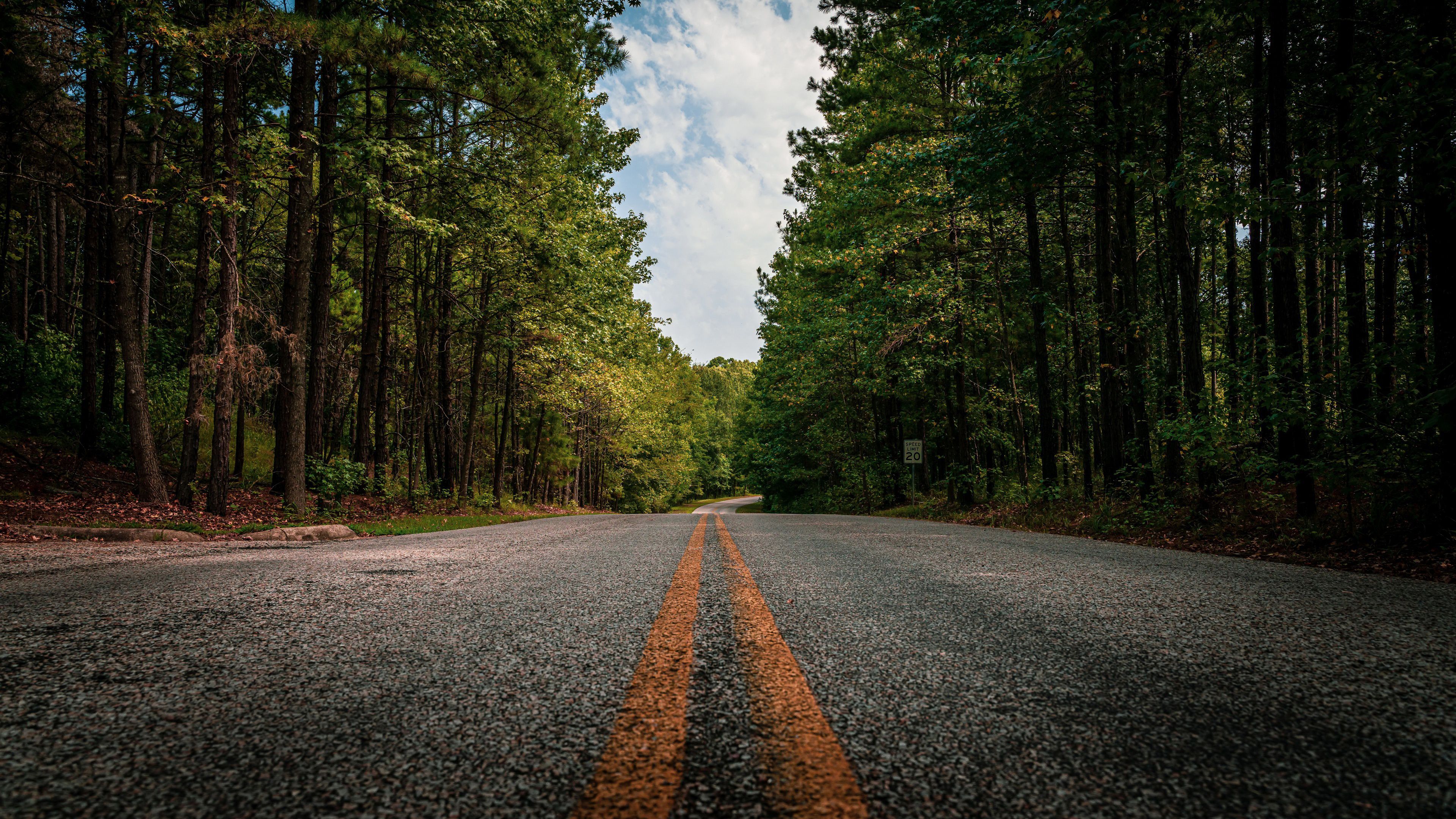 3840x2160 Forest Road Between Foliage Green Trees 4K HD Nature Wallpaper