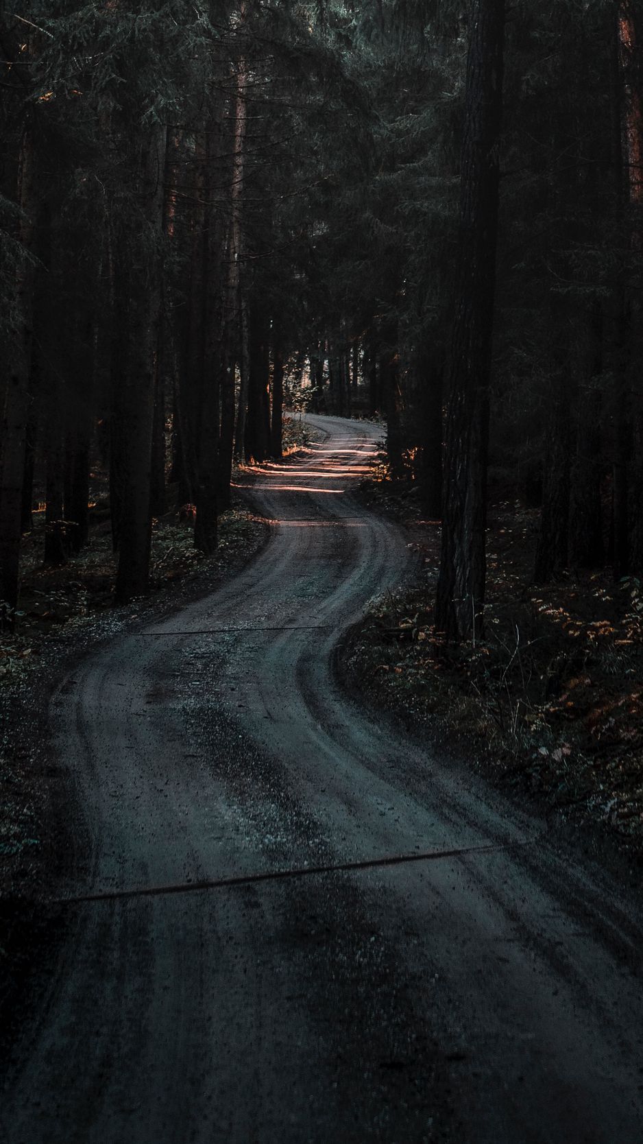 938x1668 Download Wallpaper 938x1668 Forest, Road, Winding, Dark, Nature Iphone 8 7 6s 6 For Parallax HD Background