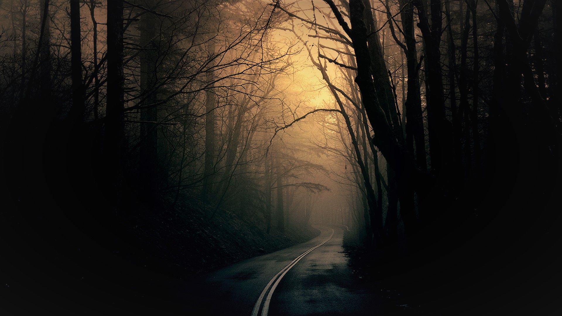1920x1080 HD Wallpaper: Enigmatic Night Roadk Forest