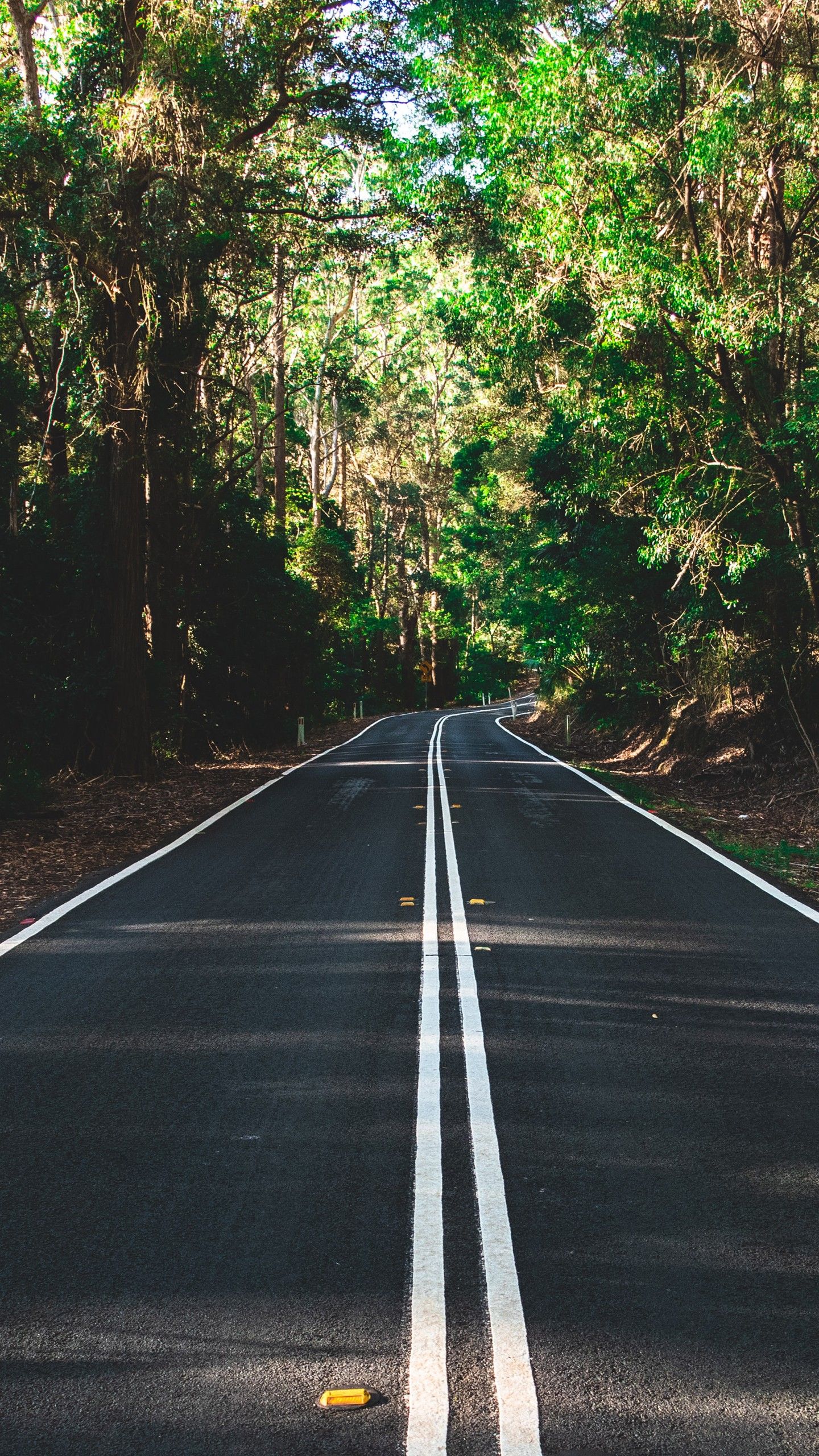 1440x2560 Road Shadows Between Trees Slope Sand Forest Background 4K 5K HD Nature Wallpaper