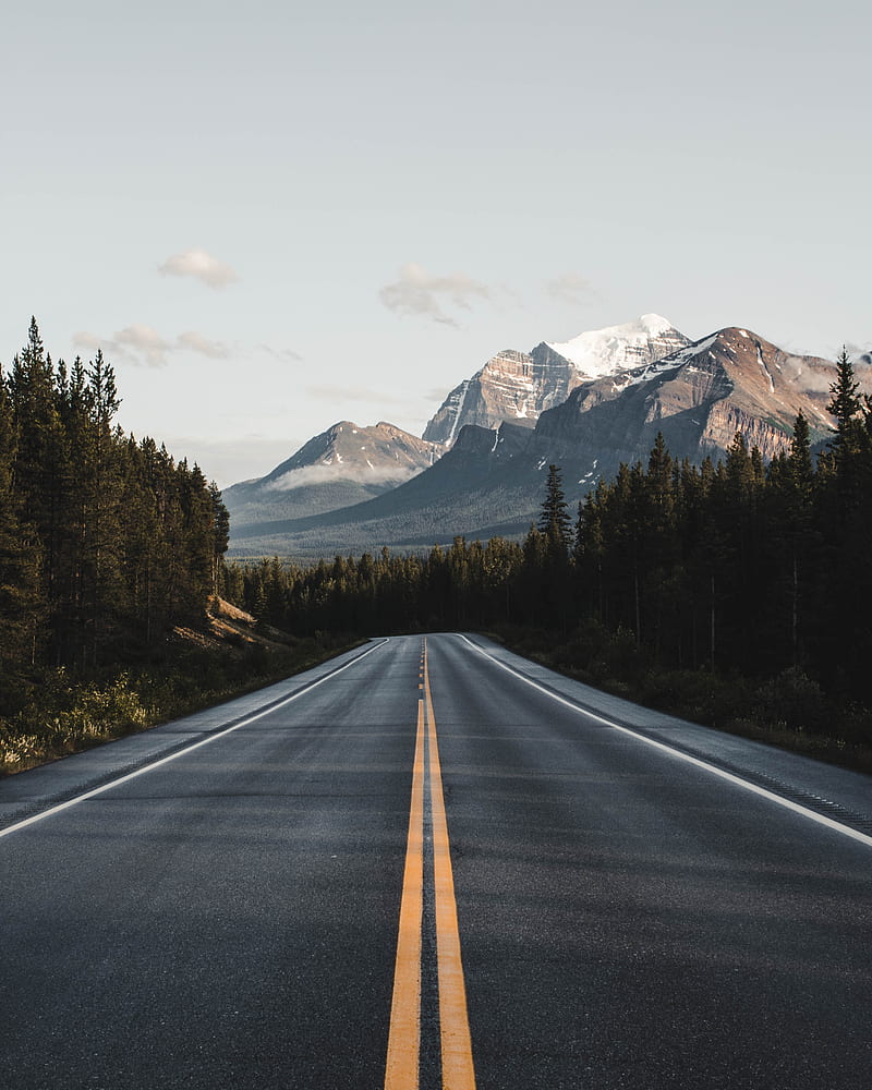 800x1000 Road, mountains, forest, asphalt, landscape, HD phone wallpaper