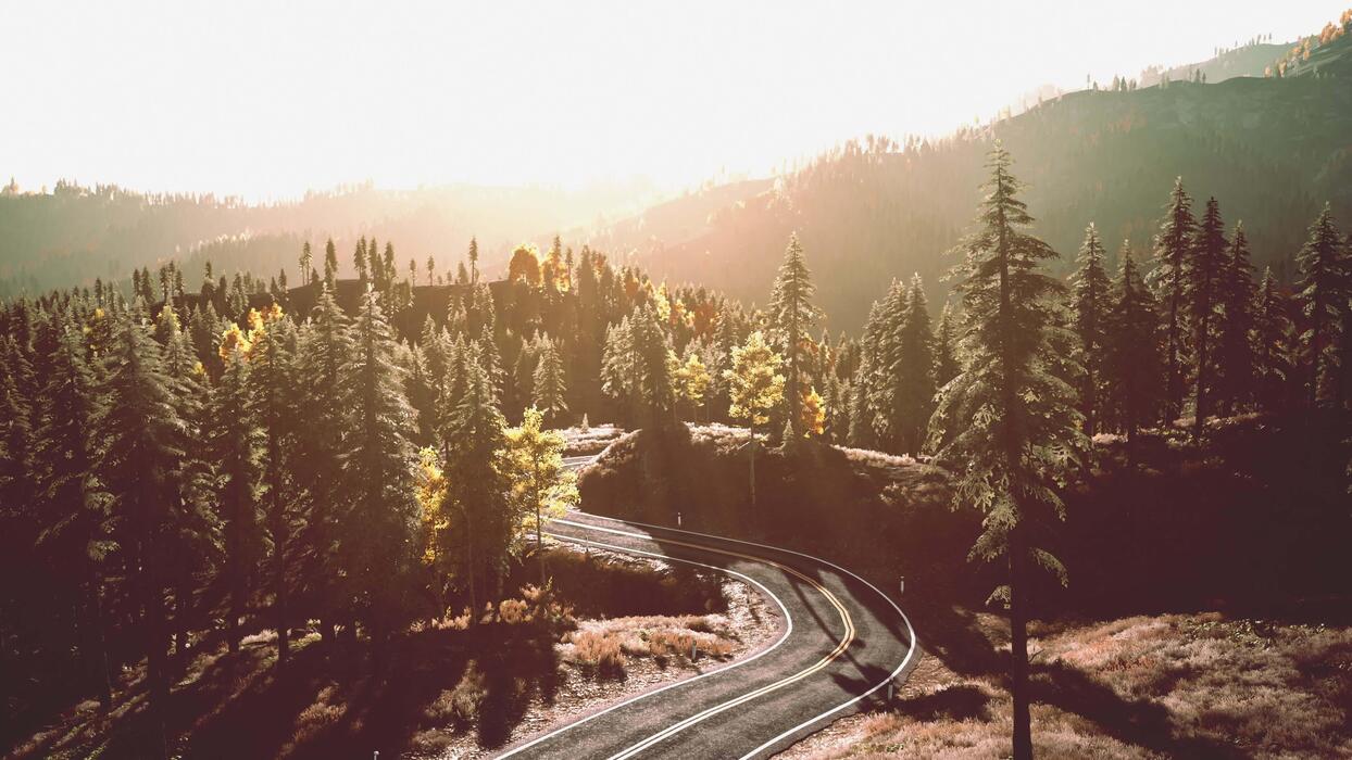 1244x700 A serene forest road