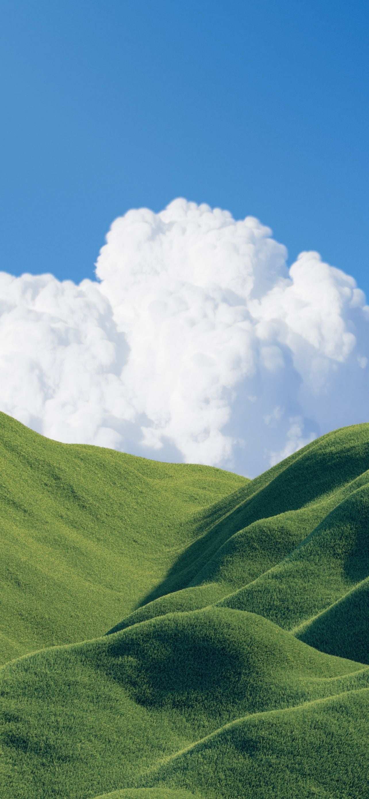 1284x2778 Most Popular Windows XP Bliss Background Wallpaper