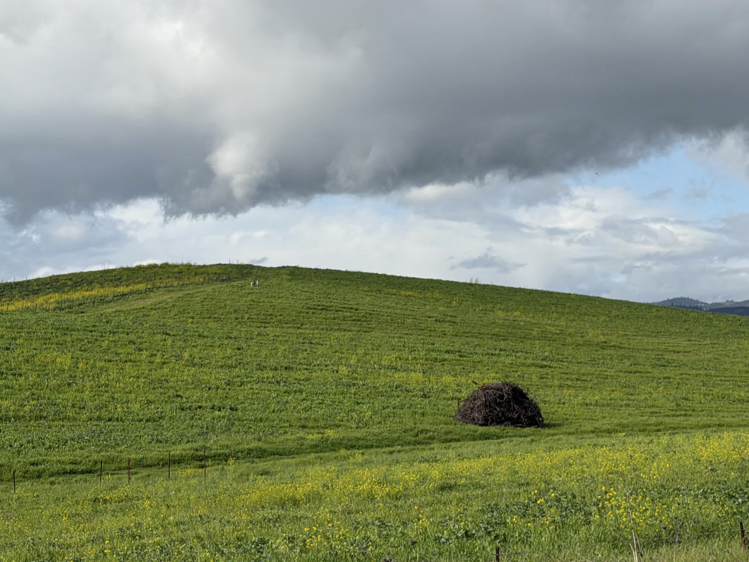 2500x1875 The Windows XP Bliss wallpaper still exists, and it briefly looks the same again