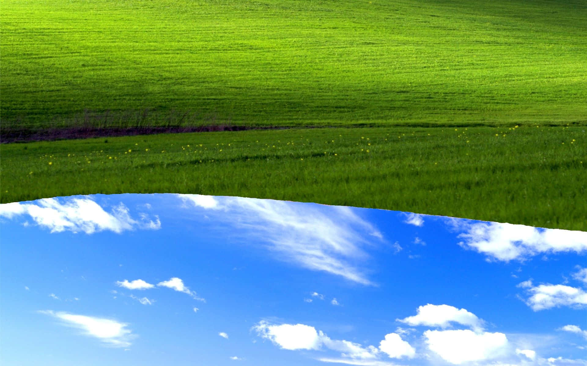 1920x1200 Download A Tranquil View Of Bliss, The Iconic Windows Xp Background