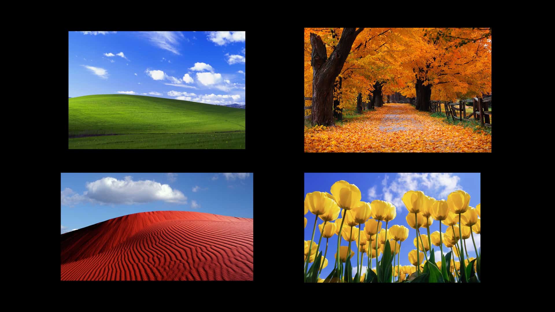 1920x1080 Download Windows XP Wallpaper for MacBook in High Resolution