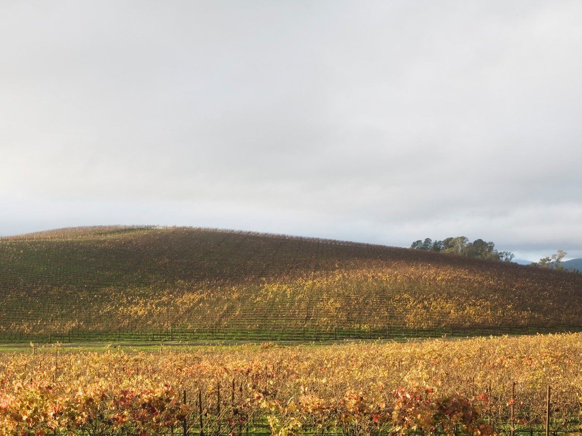 1200x900 The hill in Windows XP's Bliss wallpaper over the years: a thread. 1: 1996 2: 2006 3: 2007 4: 2010