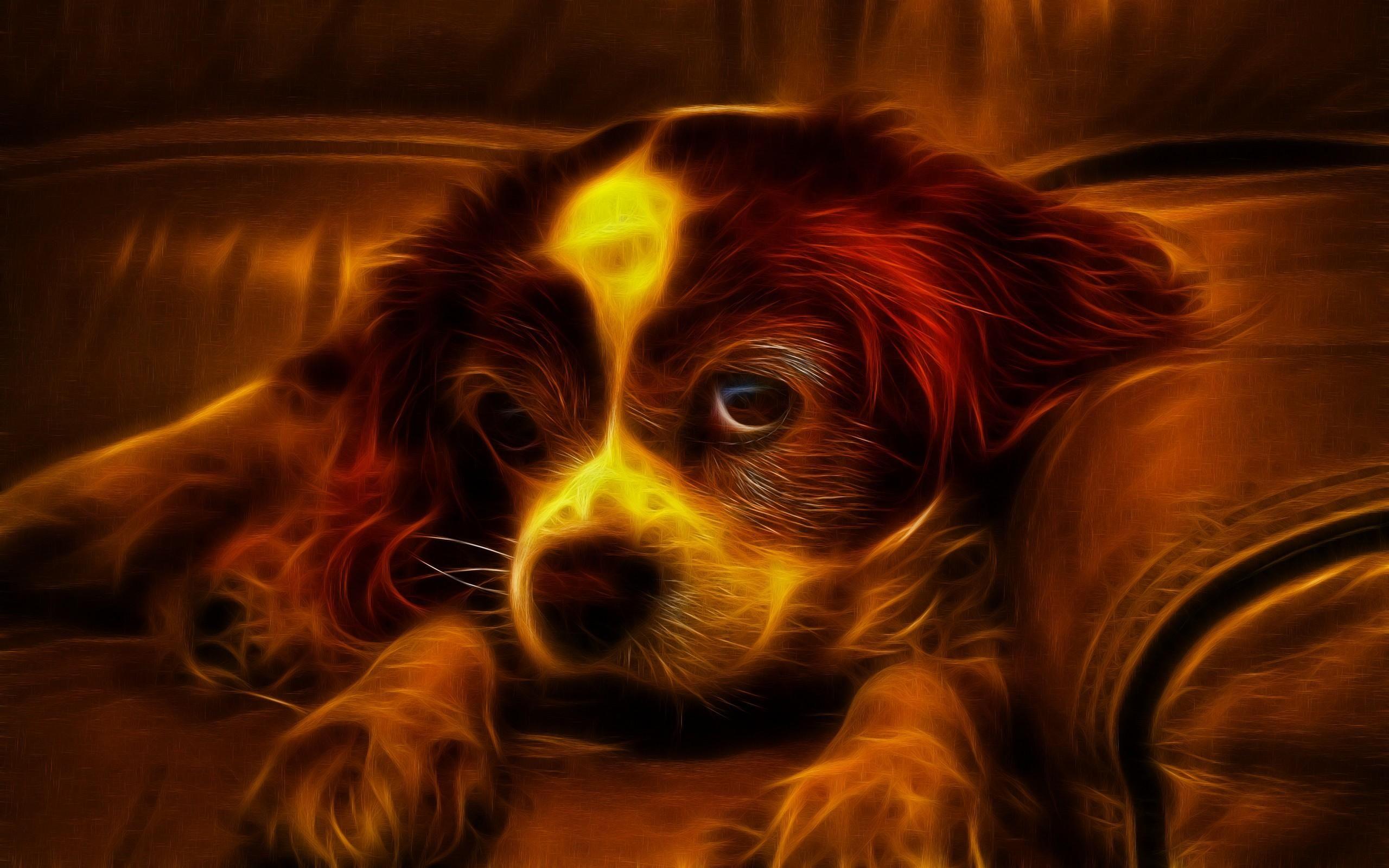 2560x1600 Cute 3D Dog Wallpaper HD :