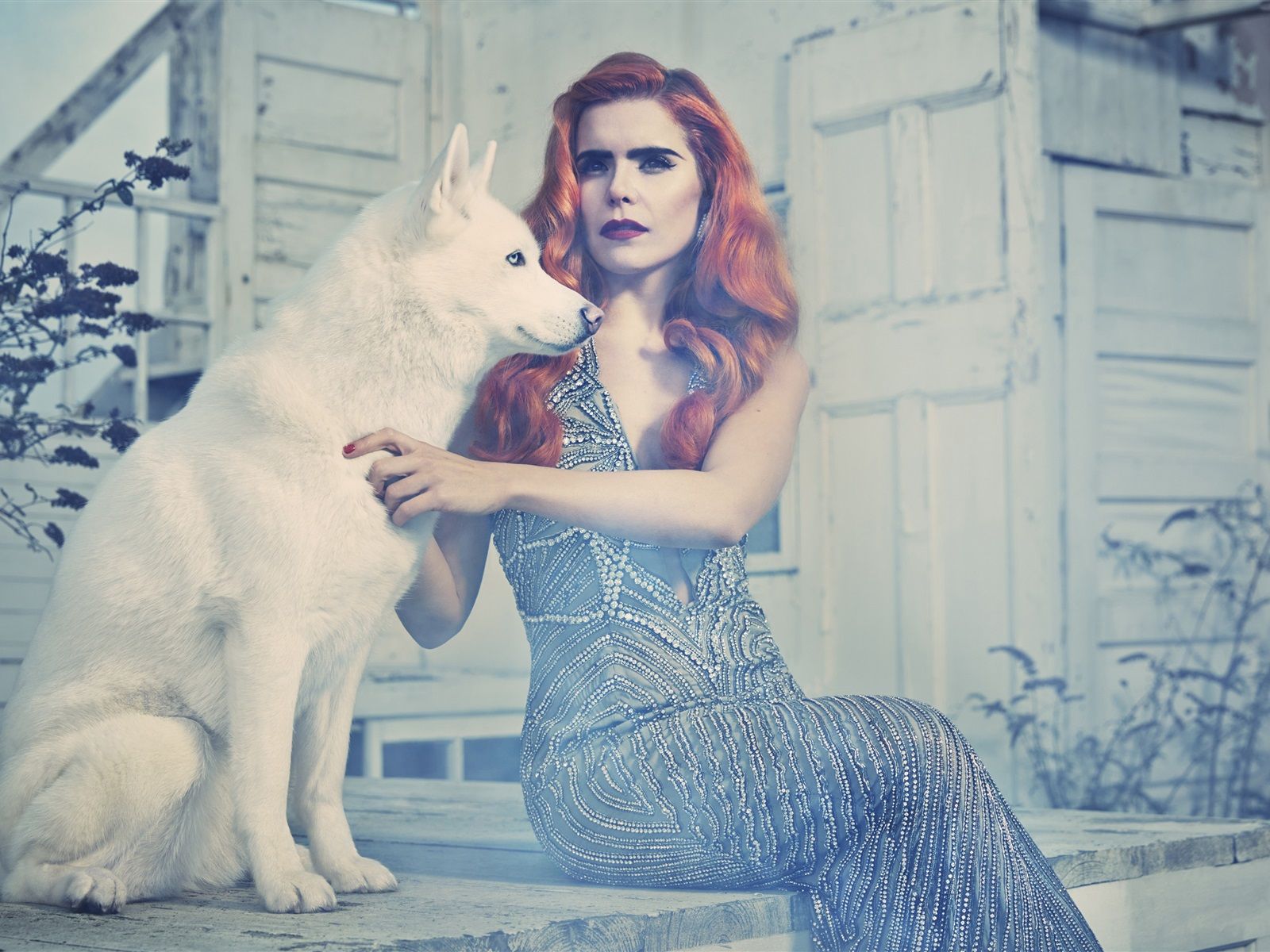 1600x1200 Wallpaper Paloma Faith 02 3840x2160 UHD 4K Picture, Image