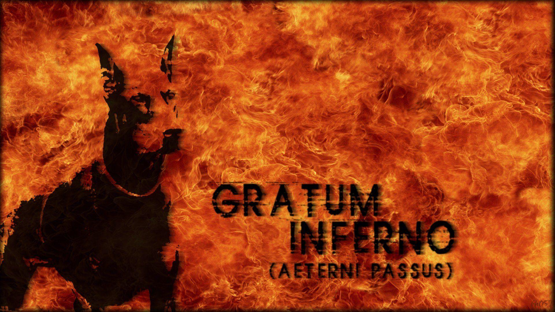 1920x1080 hell, Doberman Pinscher, Fire Wallpaper HD / Desktop and Mobile