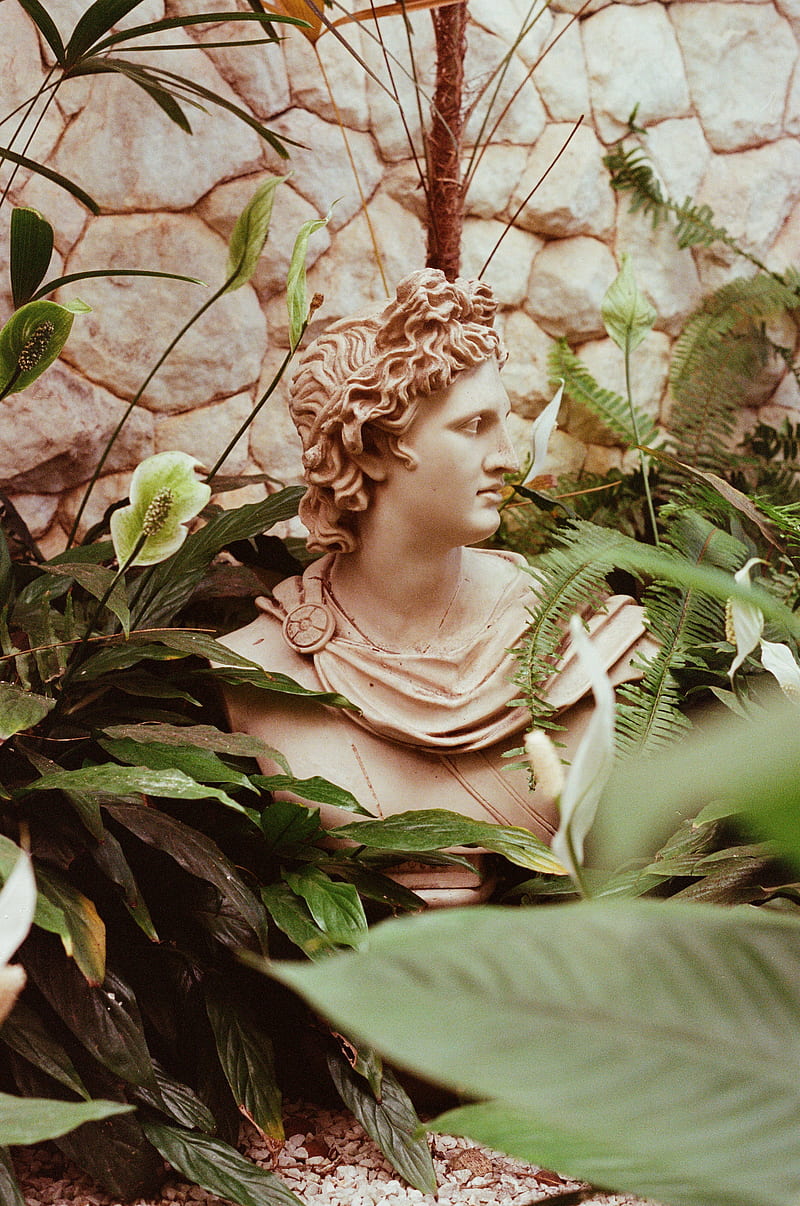 800x1206 Greek sculpture, Greek, ancient, sculpture, HD wallpaper