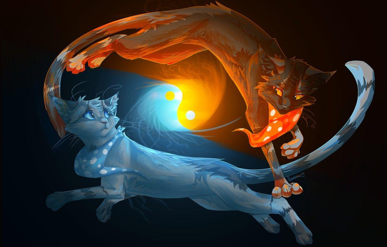 1332x850 Wallpaper Animals, Water, Fire, Cats, Black Background, Yin Yang