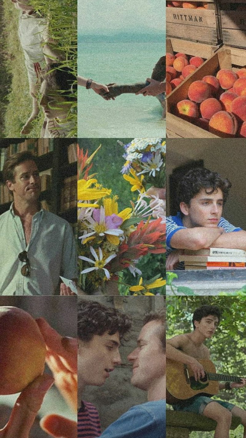 800x1422 Cmbyn, elio, oliver, HD phone wallpaper