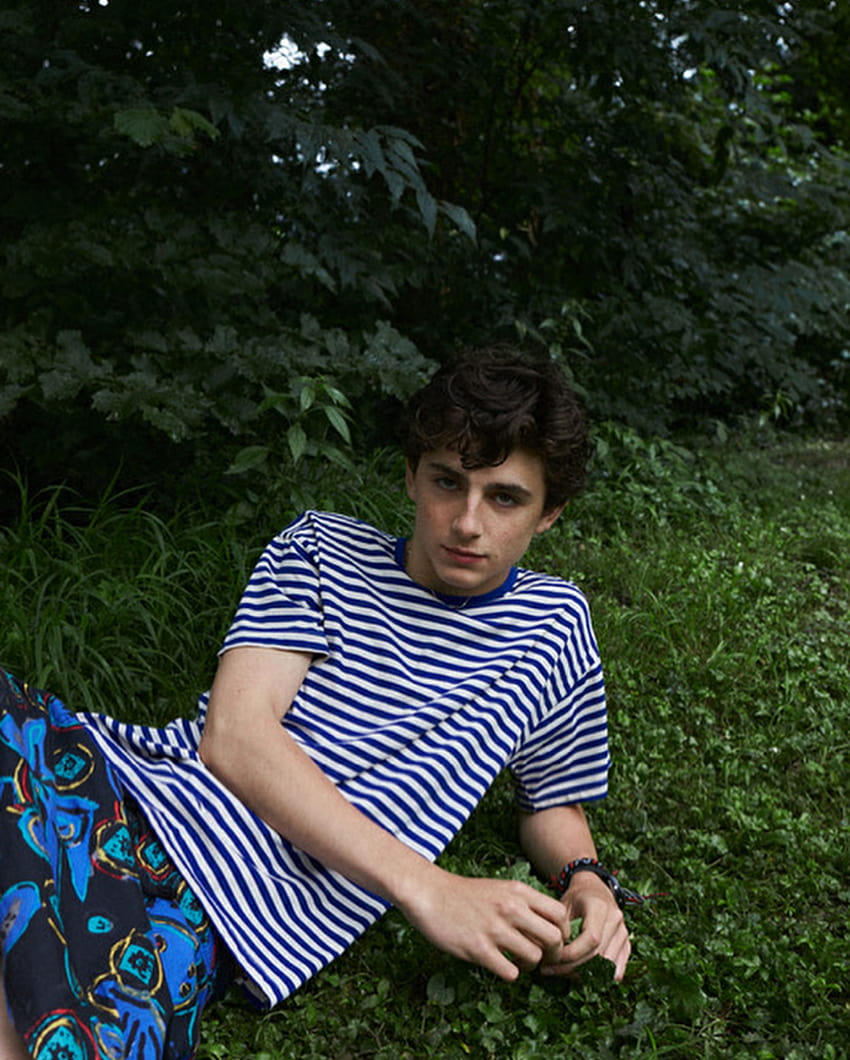 850x1060 Elio Call Me by Your Name Aesthetic, elio perlman HD phone wallpaper