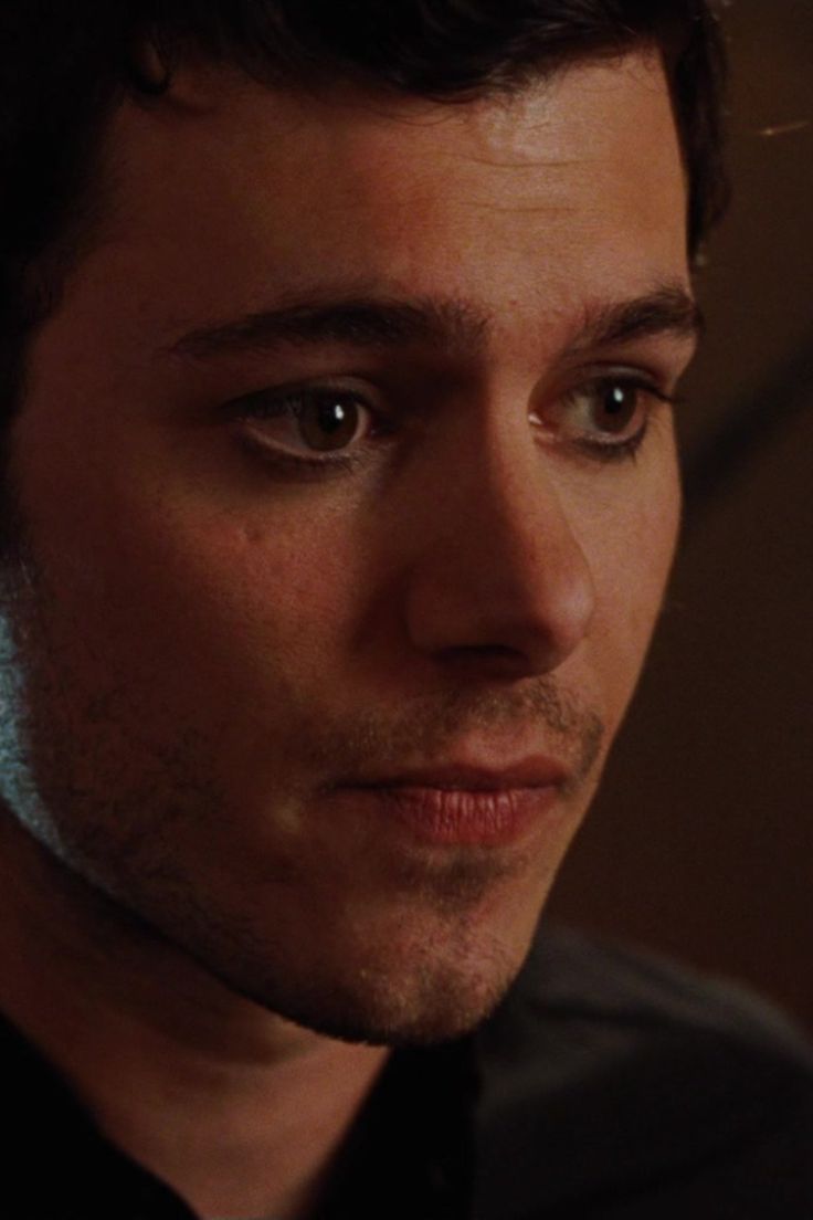 736x1104 Adam Brody's Body Aesthetic Check Fox Wallpaper