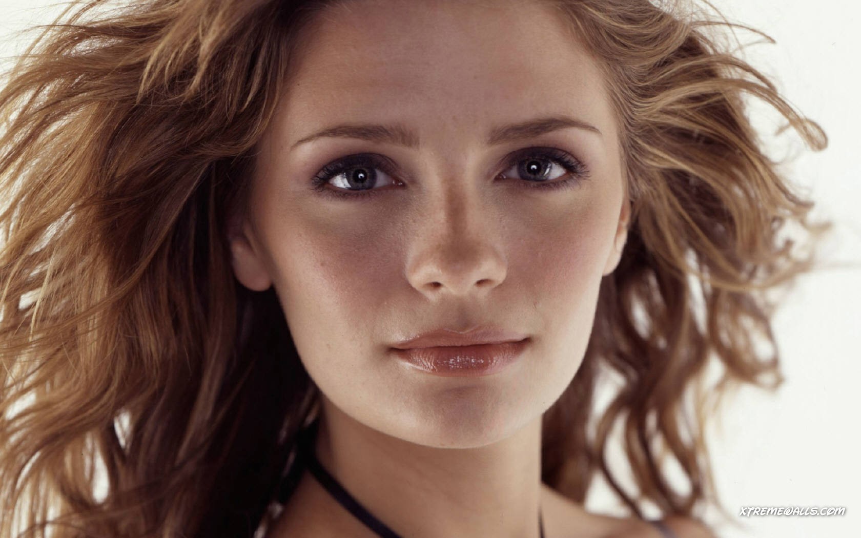 1680x1050 women, Mischa Barton, face, actress, blonde, celebrity, lipstick, women indoors, American women, portrait, closeup, indoors, studio, white backgroundx1050 Wallpaper