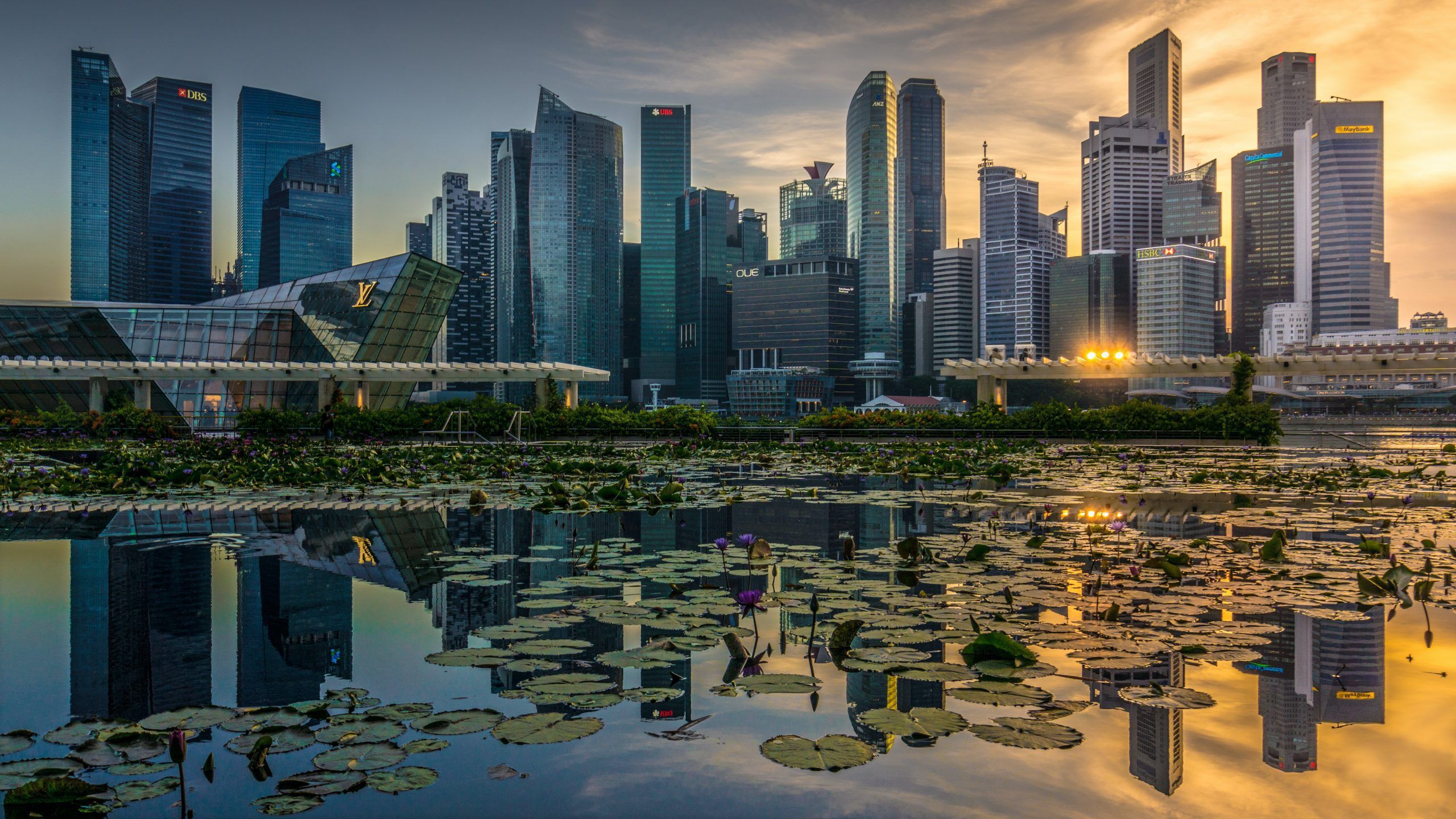 2560x1440 Skyline Views: Best Places to Capture Singapore's Iconic Cityscape