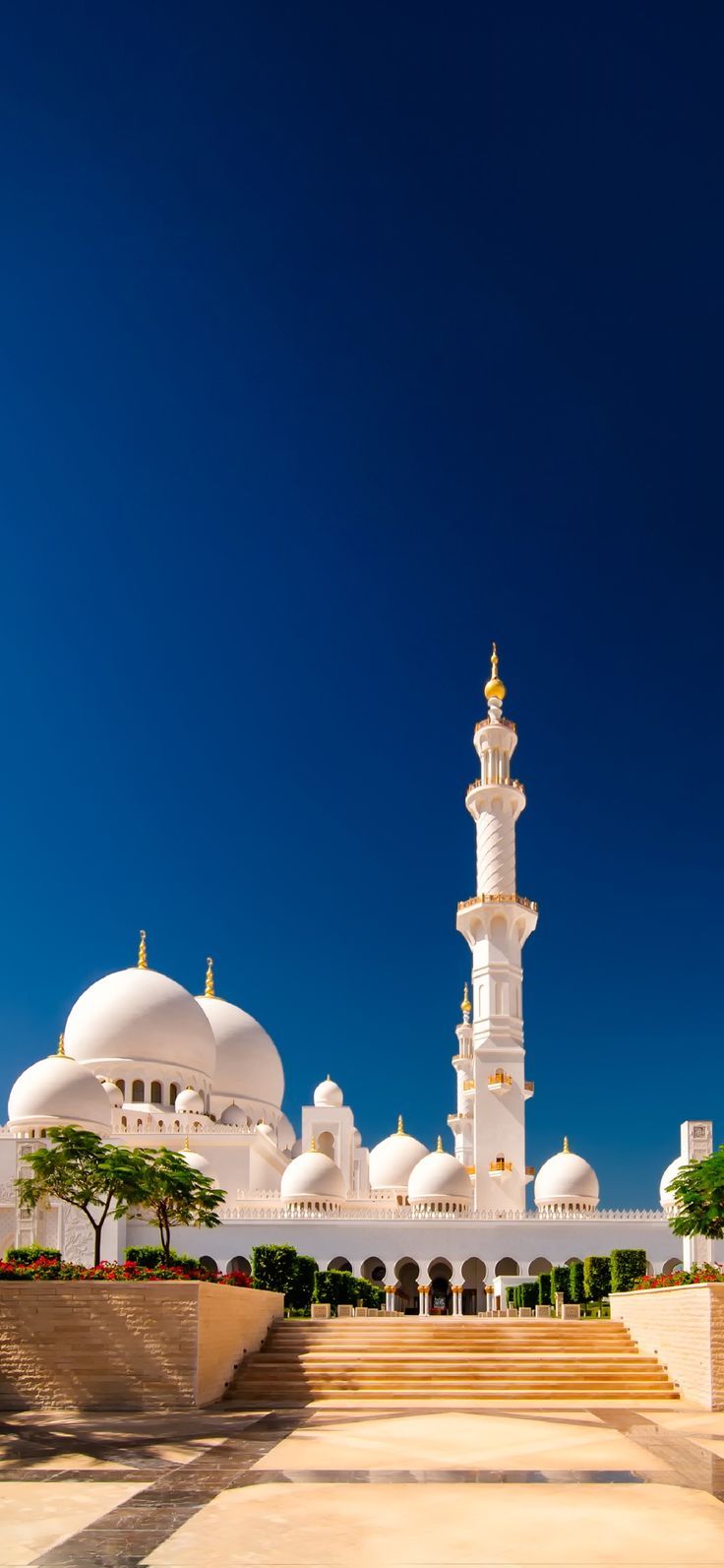 736x1593 Sheikh Zayed Grand Mosque (Abu Dhabi)