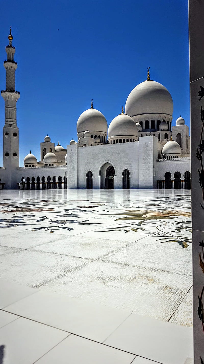 800x1422 Sheikh Zayed Mosque, abu dhabi, islam, HD phone wallpaper