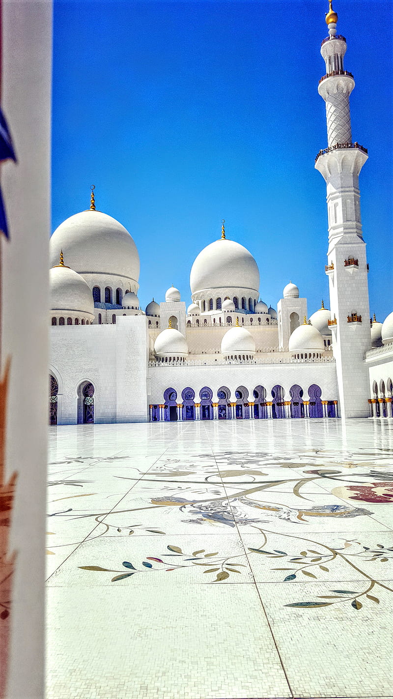 800x1422 Sheikh Zayed Mosque, abu dhabi, islam, HD phone wallpaper