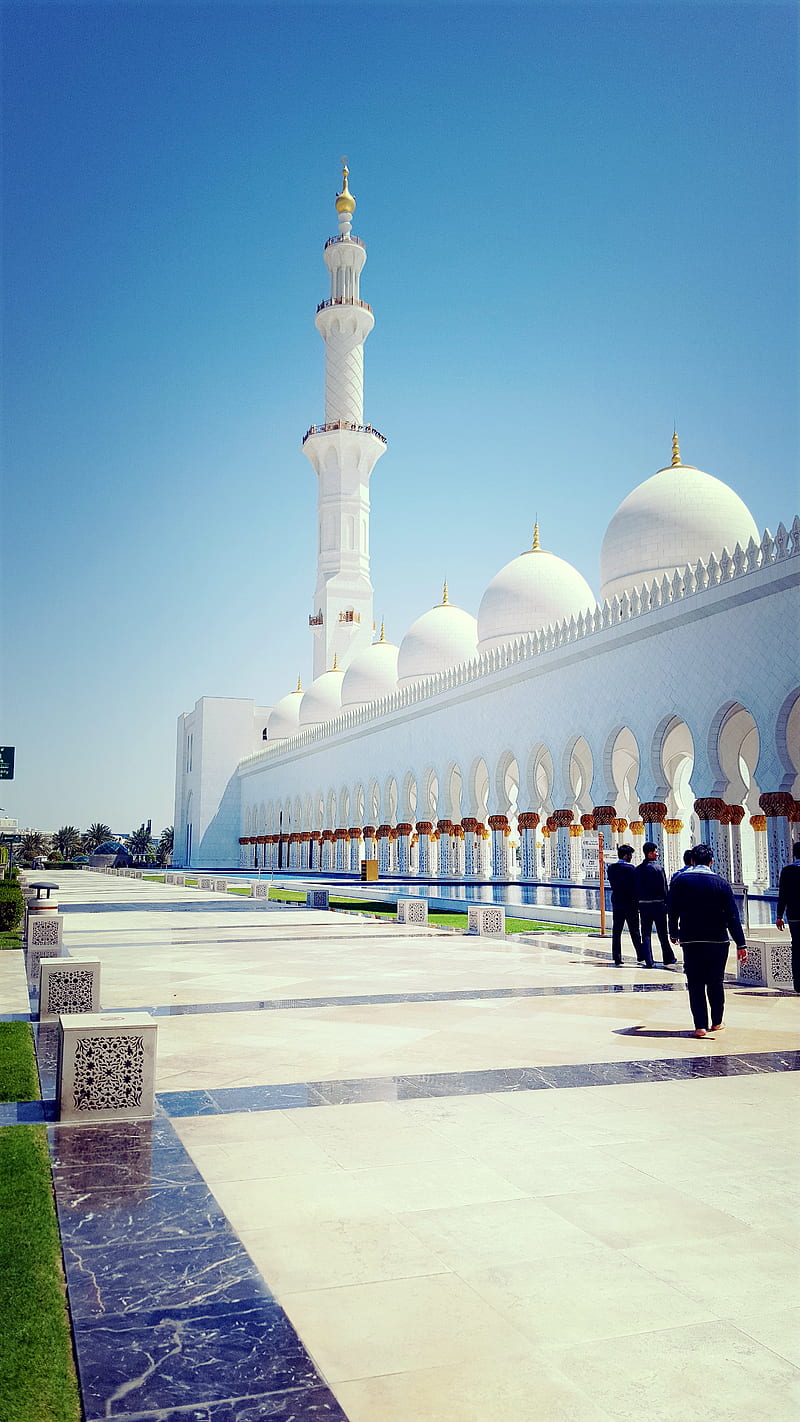 800x1422 Sheikh Zayed Mosque, abu dhabi, islam, HD phone wallpaper