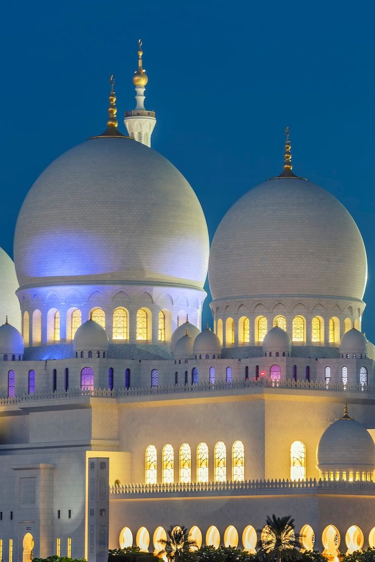 740x1110 Sheikh zayed grand mosque Image