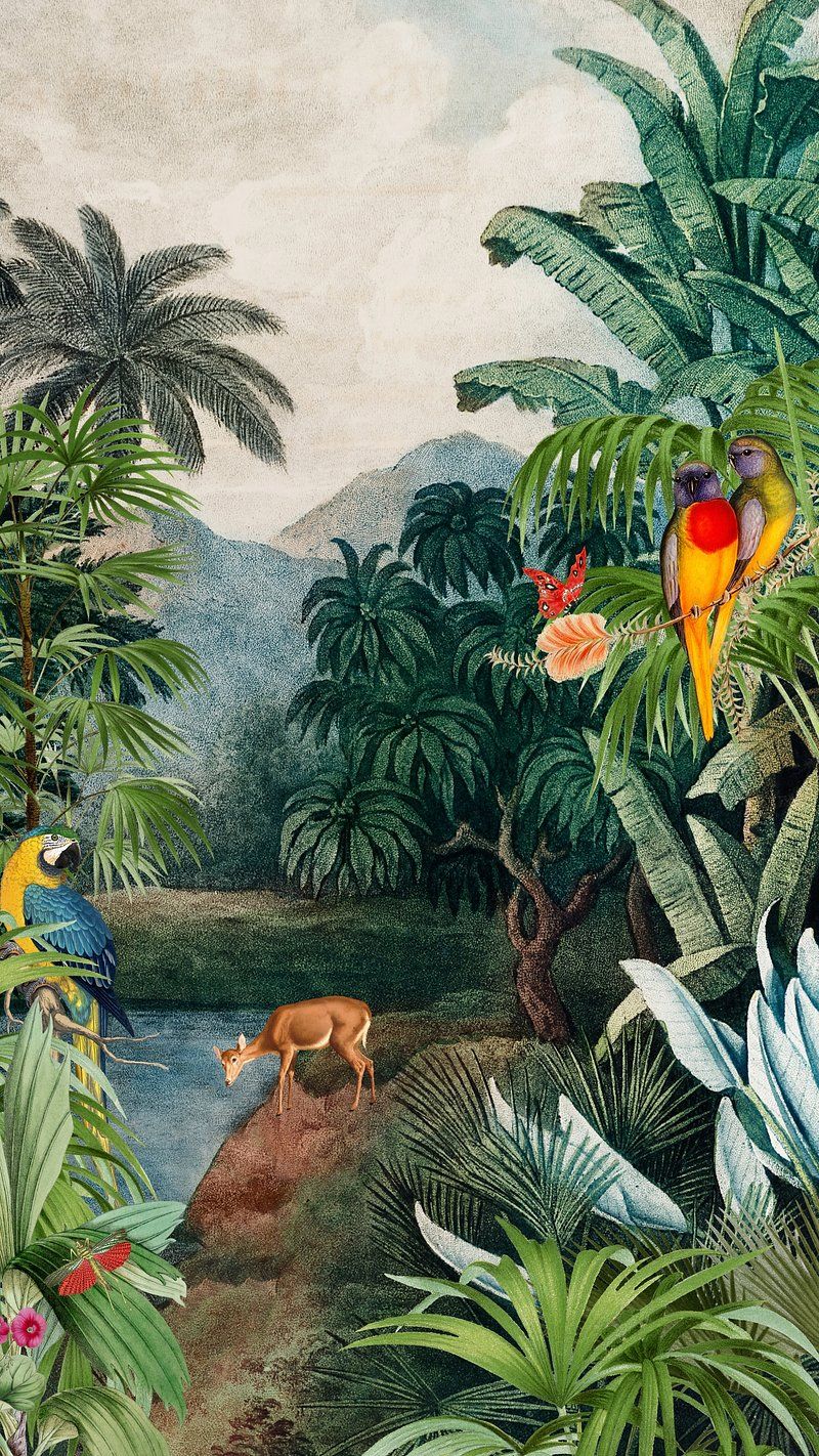 800x1422 Jungle Phone Wallpaper Image Wallpaper