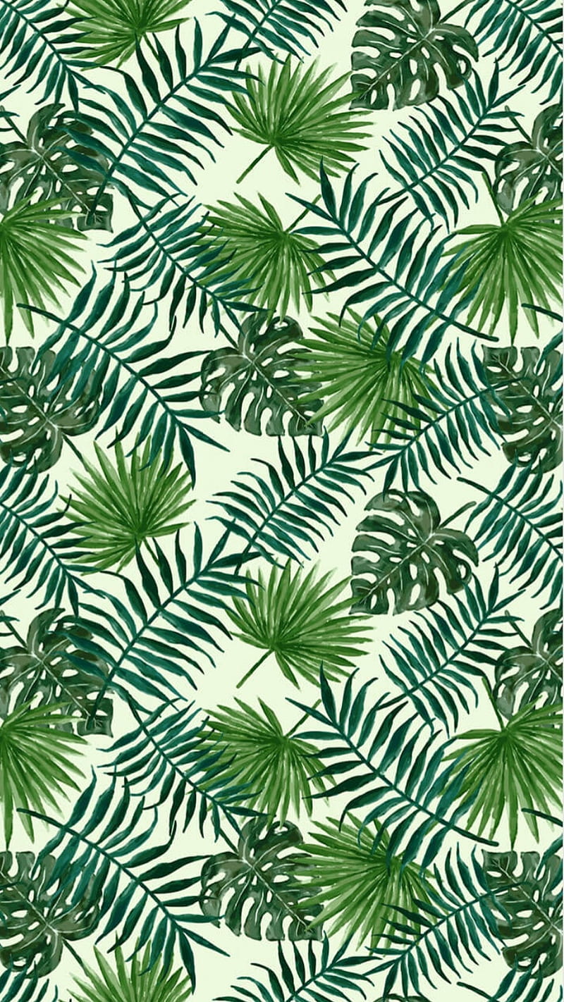800x1422 Jungle, aesthetic, egzotic, exotic, leaf, nature, nice, sofija vsco, whatever, HD phone wallpaper