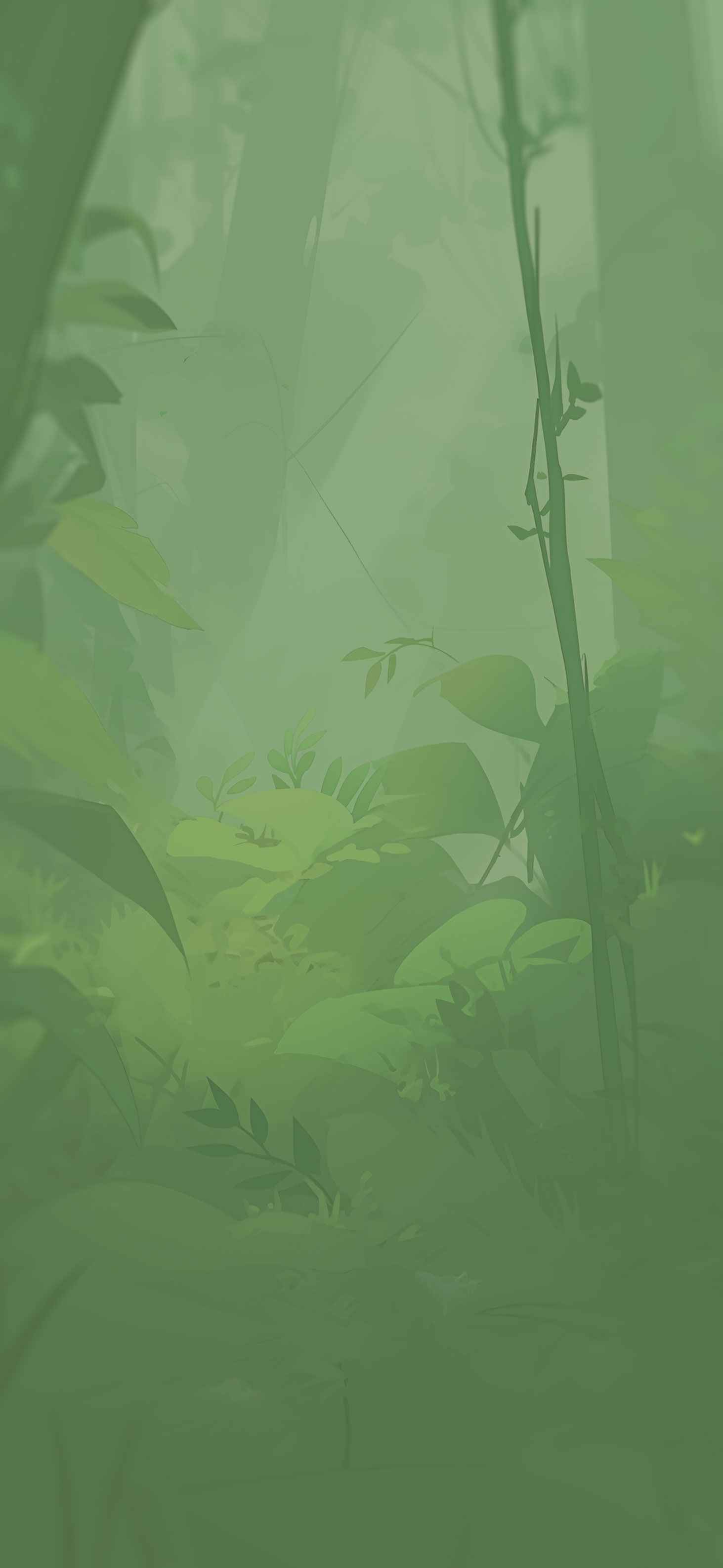 1463x3171 Misty Jungle Aesthetic Wallpaper Nature Wallpaper iPhone