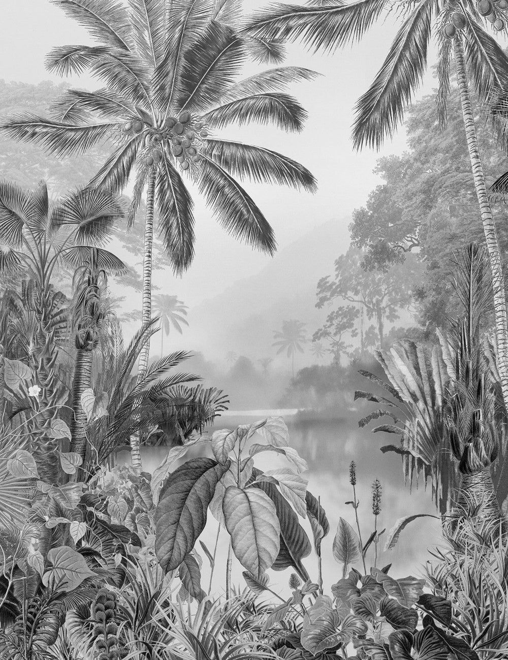 1000x1299 Black & White Wallpaper : Bringing Nature and Elegance to your Walls