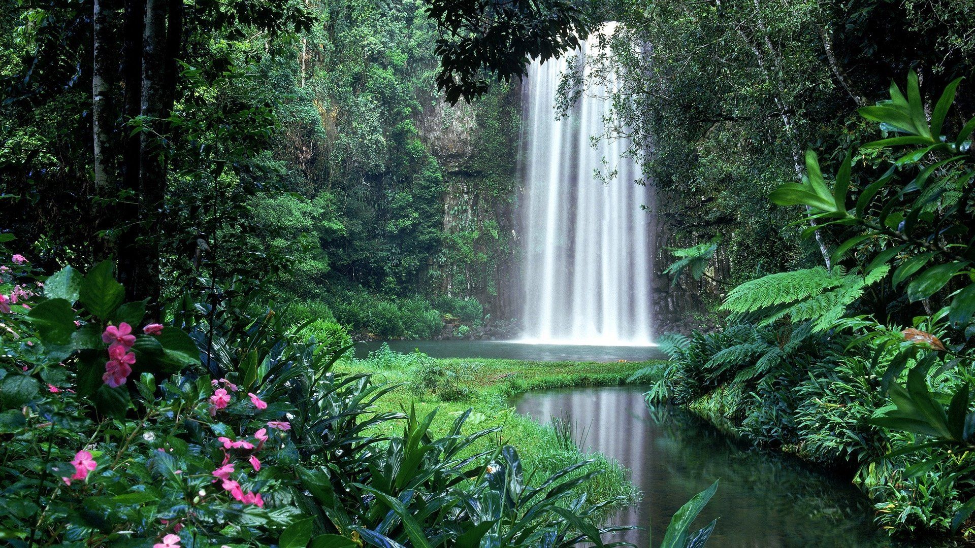 1920x1080 Lush Jungle Waterfall HD Wallpaper: Nature's Hidden Thicket Oasis