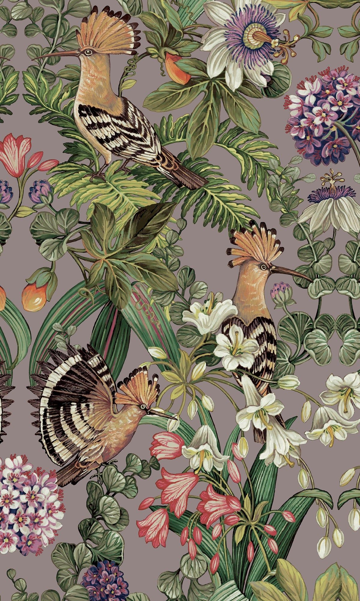 1200x2000 Heather Tropical Birds Bold Tropical Wallpaper R8286