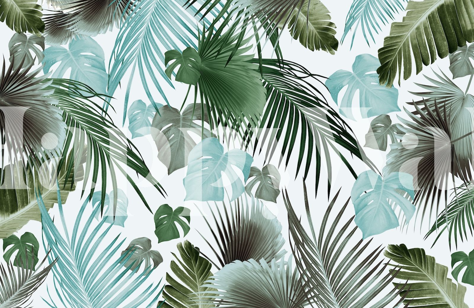 1600x1040 Bring the Tropics Home with Tropical Jungle Leaves 14A Wallpaper