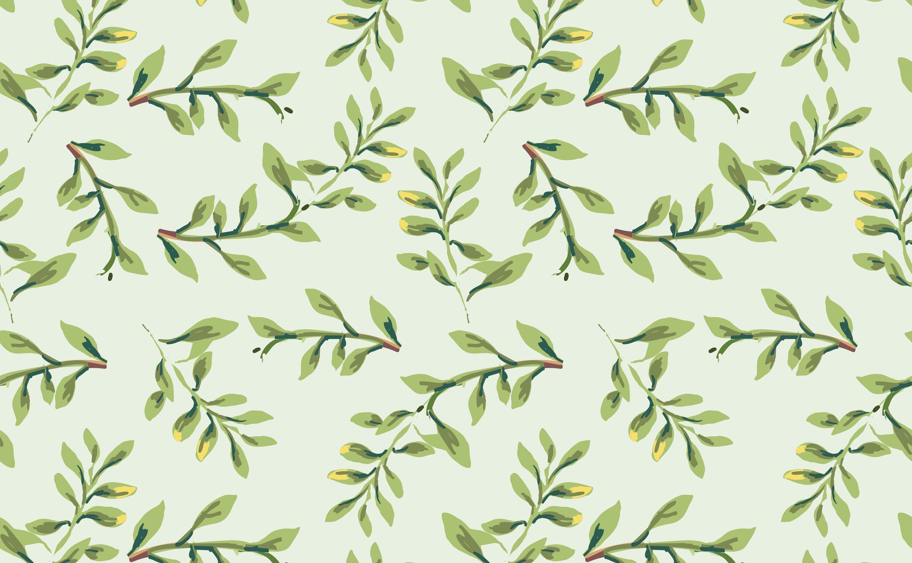 3028x1872 Twiggy Of Leaves Wallpaper