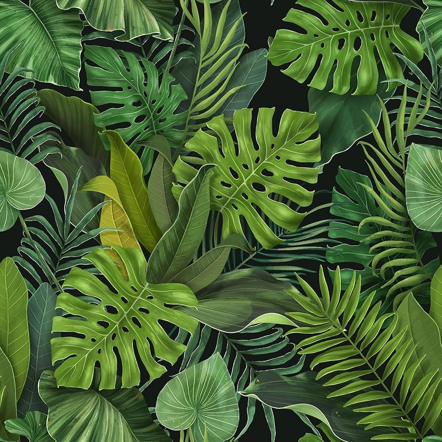 894x894 CHIHUT Black Tropical Leaf Wallpaper Peel and Stick Green Palm Leaf Wallpaper for Bedroom Self Adhesive Removable Jungle Contact Paper Waterproof Decorative Botanical Wall Paper Mural 17.7”x100”