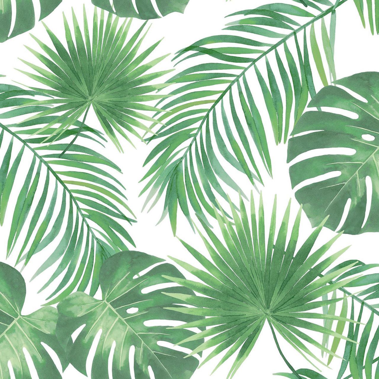 1280x1280 Patti Light Green Leaves Wallpaper