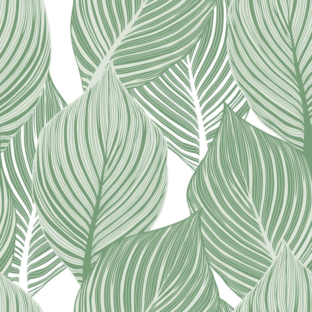 1000x1000 Leaf Me Alone. Botanical Jungle Wallpaper Poppy Paper Co