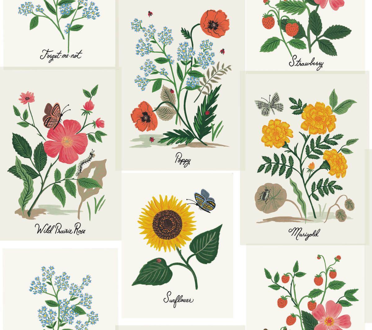 1200x1067 Botanical Prints White Pink Wallpaper by Rifle Paper Co Wallpaper