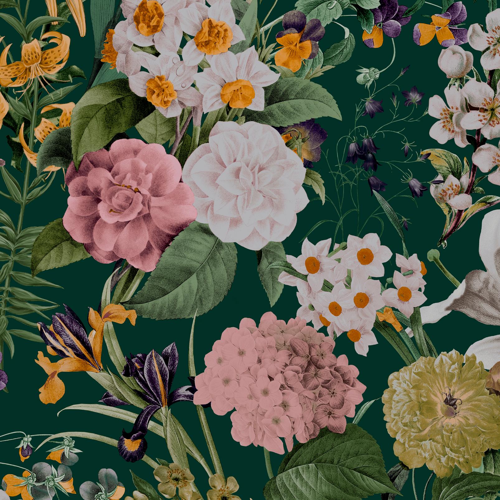 1606x1606 Glasshouse Flora Emerald Wallpaper. Green. Graham & Brown