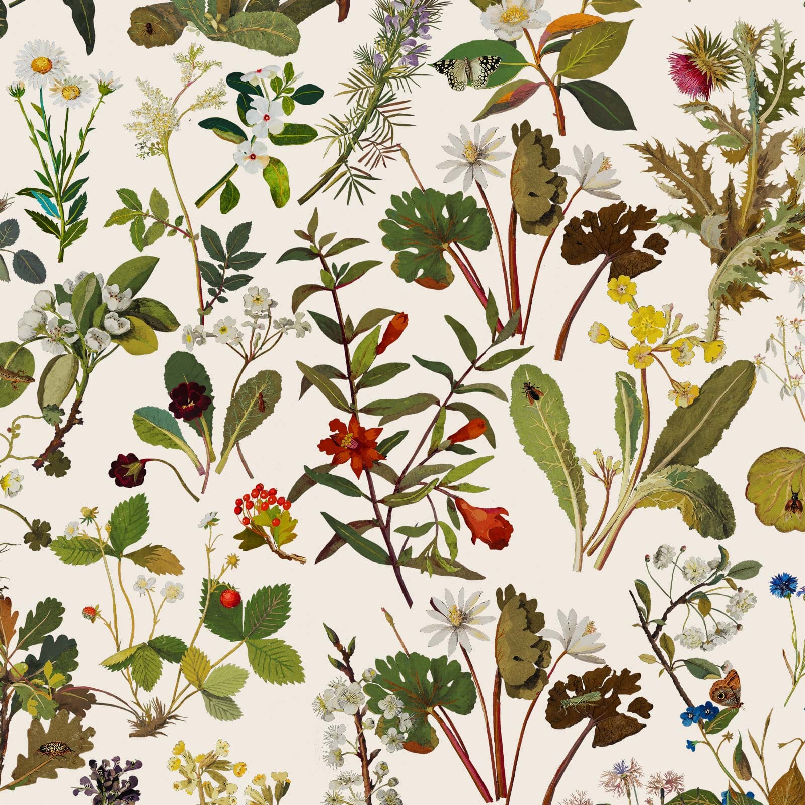 1600x1600 HERBARIUM Wallpaper. House of Hackney